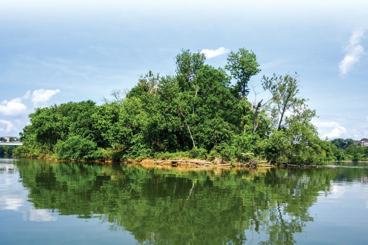 Small green island with trees reflecting on calm water under a blue sky.